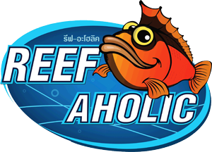 www.reef-aholic.com